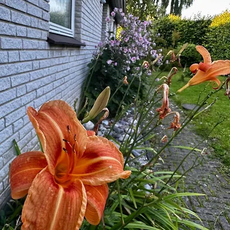 Spacious House With Garden Tappernøje
